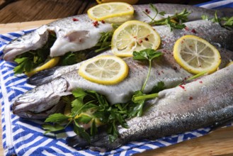 Fresh trout with lemon and various herbs