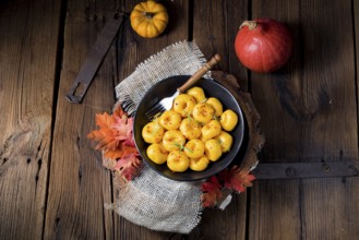 Delicious autumn dumplings with Hokkaido pumpkin puree