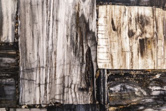 Close-up of wooden textures with earthy tones and natural patterns, stone, natural stone, stone