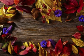 Halloween copy space background on wooden backdrop