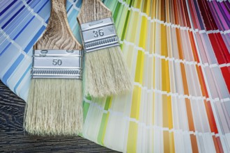 Set of color sampler paintbrushes on wooden board