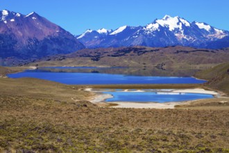 Los Glaciares is Argentina's most beautiful natural park. Pampas surround snow-capped mountains.