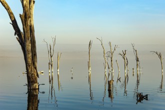 Lake Nakuru National Park. Central Kenya in East Africa. Journey to the exotic country of Kenya.