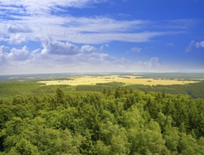 Harz mountains aerial view in Germany