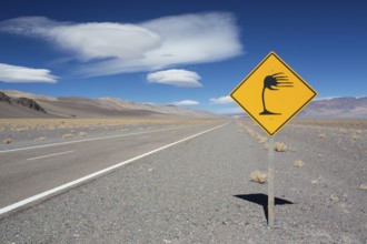 Paso de San Francisco, traffic sign, pass, Andes, Argentina, South America