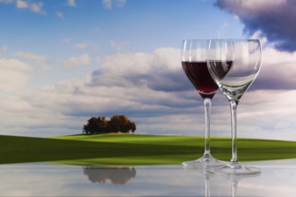 Autumn scenery and wine glasses with red wine