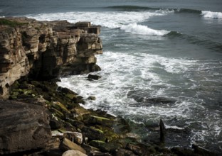 The rocky coastline along the shore of North Sea in Northumberland County, England, United Kingdom,