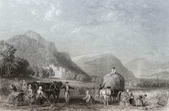 Grain harvest, Inveraray Castle, a country house near Inveraray, county of Argyll, Scotland, United