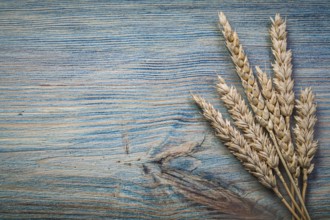 Wheat rye ears on wooden board food and drink concept