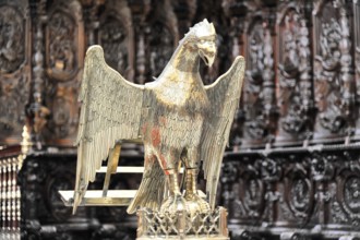 La Mezquita, Mosque, Cathedral of Cordoba, Cordoba, Andalusia, Spain, Europe, Golden eagle serves