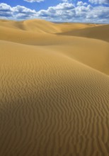 Desert sand dunes in Maspalomas Oasis Gran Canaria at Canary islands