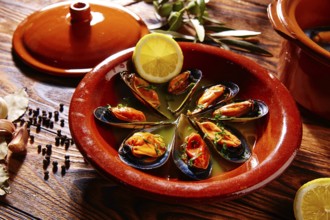 Tapas mejillones al vapor steamed mussels from Spain
