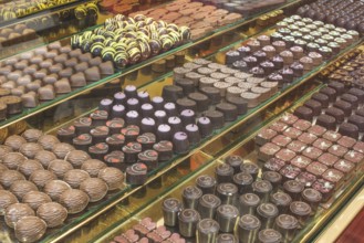 Chocolate candy in a store window. Stand with chocolates. Bulgaria