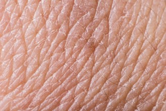 Texture of human skin. Extreme close up macro shot