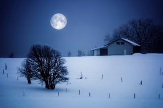 An image of a full moon winter scenery with a house
