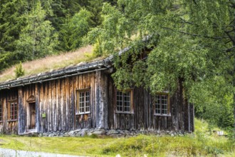 Traditional Timber house with grass roof in the Setesdal in Norway in natural landscape. Old Timber