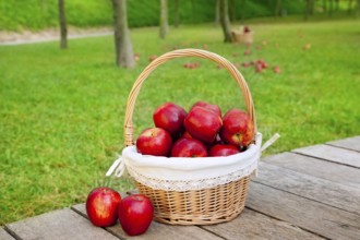 Basket of red apples on wood floor with green field background