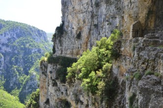Vikos Gorge in Greece