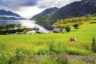 The smooth water of the Acre Fjord. Rainy cold July in Norway. Majestic natural phenomenon
