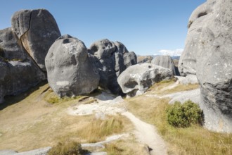 An image of a landscape scenery at Castle Hill New Zealand