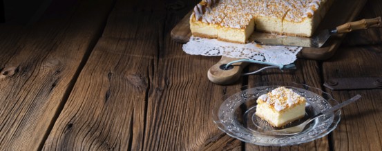 Succulent tin cheesecake with crumbs