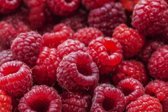 Red raspberry healthy food concept