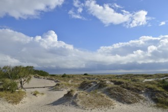 Sandhammaren is a Swedish coastal strip on the Baltic Sea. It is the southeasternmost point of the