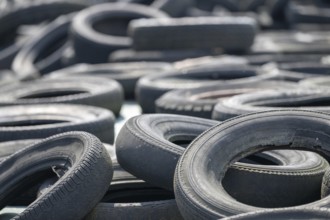 Old car tires on silaged fodder on a dairy farm