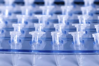 Science Plastic Test Centrifuge Tubes