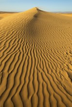 Sand blowing over sand dunes in wind, Sahara desert