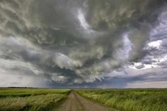 Prairie Storm Clouds Canada Saskatchewan Dramatic Summer
