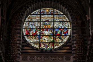 SIENA, ITALY, SEPTEMBER 23, 2023, Rich ornate window of the nave of the Siena Cathedral in Italy,