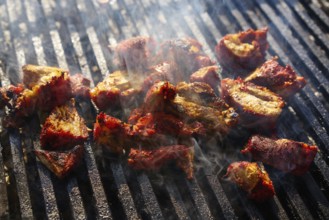 Al Pastor meat barbecue in Riviera Maya of Mexico