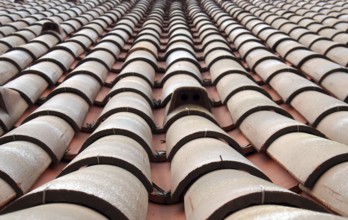 A full frame close up perspective view of traditional red clay pantiles on a roof with focus near