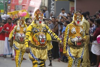 Pulikali Tiger Dance procession, Onam festival, Thrissur, Kerala, India, Asia