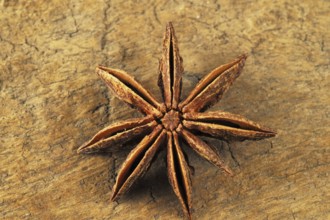 Star anise, mumbai, maharashtra, india, asia