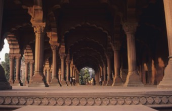 Diwan - E- AAM Interior, Red fort, Delhi, India, Asia