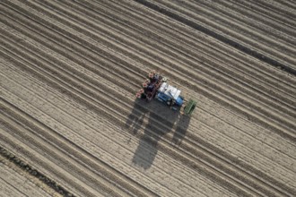 Farmers are planting a tomato crop using an automatic planter machine in a field. The machine is