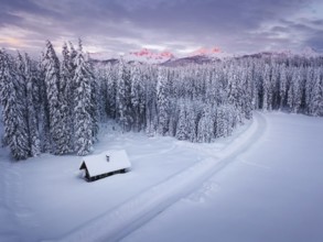 Snow covered winter forest landscape aerial view with pines and mountains in the background. Cold