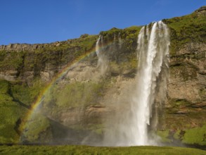 Rainbow at Seljalandsfoss waterfall, South Iceland, Iceland, Europe