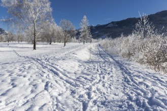 Winter, snow, cross-country skiing, hiking, winter hike, mountains, Hohe Tauern, Pinzgau
