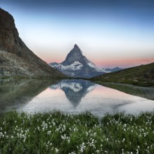 Matterhorn reflection in Riffelsee with flowers, Zermatt, Alps, Switzerland, Europe