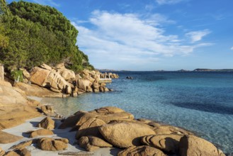 The beautiful Capriccioli beach in Sardinia
