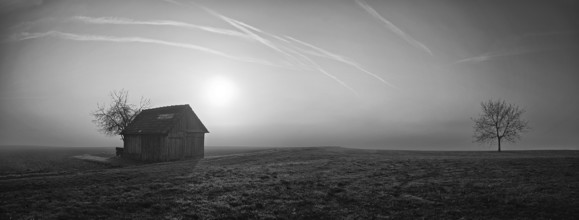 Panorama, morning mood in a misty haze
