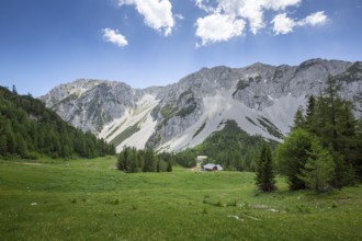 Zelenica above Ljubelj in Slovenia. Karavanke alps in summer with wild flowers blooming