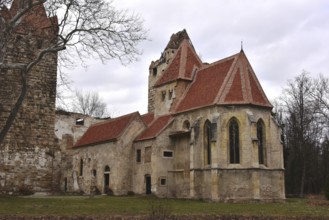 Pottendorf castle ruins, Austria, Europe