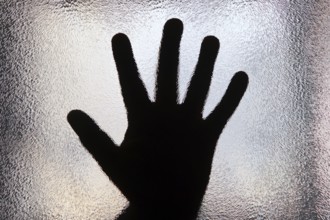 Fear of loneliness