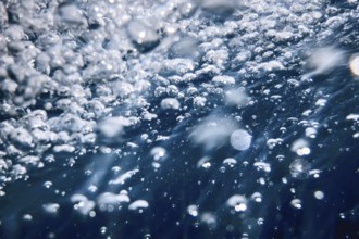 Abstract Bubbles in Water, Air Bubbles Water Background
