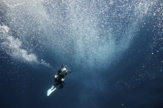 Rising air bubbles, Vis Island, Mediterranean Sea, Croatia | Rising air bubbles, Vis Island,