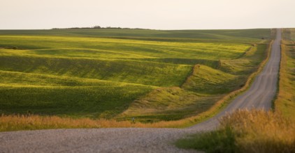 Prairie Scene Saskatchewan summer crop harvest Canada